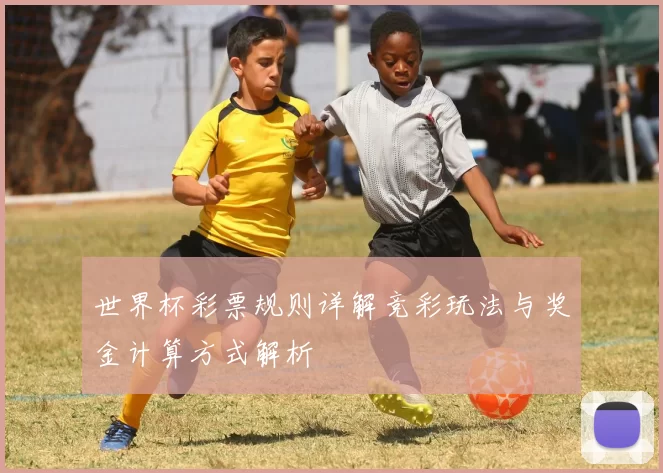世界杯彩票规则详解竞彩玩法与奖金计算方式解析